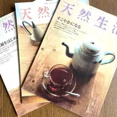 天然生活 2006年　2月号 4月号 8月号 3冊セット