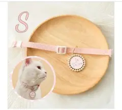 Item thumbnail for item 37d71729-d8c9-4903-a011-f8aa8eb4ebe0
