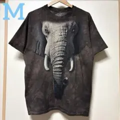 THE MOUNTAIN ザマウンテン 象 ゾウ 半袖 tシャツ 茶色 M