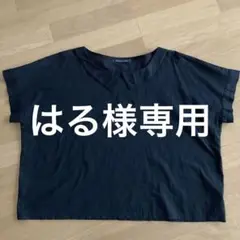 ミズイロインド コットンブラウス