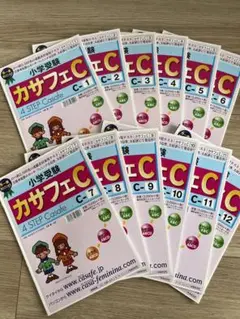 カーサフェミニナ　小学校受験　幼児テスト　トライB1〜12 書き込み/解答無 カーサフェミニナ 小学校受験 幼児テスト トライB1〜12 書き込み