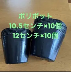 ポリポット　ポリ鉢