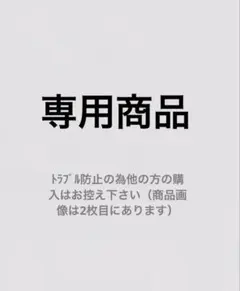 ベイマックス スペシャルコスチューム～vol.3全3種 ミニソフビ ぺたんこ