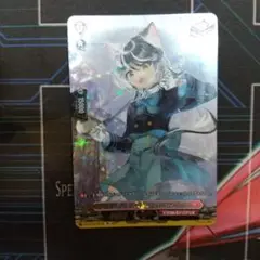 ヴァンガード スノウスキップ パルヴィ SP