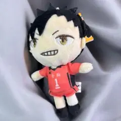 【ハイキュー】 黒尾鉄郎 ボールチェーンマスコット ぬいぐるみ 人形