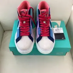 Item thumbnail for item 817daa33-ec4a-4a73-9bf5-e6c6c33795c2