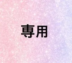 専用ページ