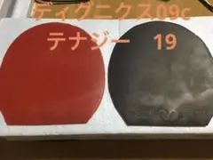 中古ラバー ディグニクス09c テナジー19