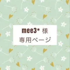 スタイ2枚