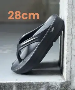 Item thumbnail for item f4247838-551a-4870-82a5-6c8dd063d235