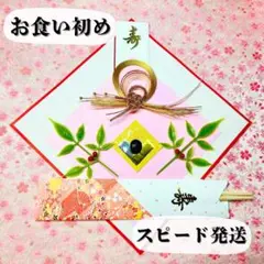 Item thumbnail for item 3d99115a-7974-417a-87a8-51ec8f06043f