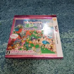 3DS とんがりボウシと魔法の町 スペシャルパック