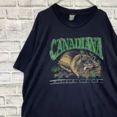 USA製90sヴィンテージTシャツ！シングルステッチ　ブラック半袖古着XL 18