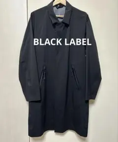 Item thumbnail for item 1e62f829-0d47-4181-bc75-ae1e6f0bfa14