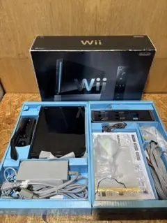 Wii 本体 すぐ遊べるセット 箱 説明書 付き 29802