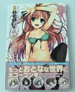 「もっとおとなの萌王 画集」