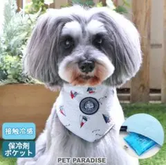 Item thumbnail for item 7eccc8a3-6c14-4535-bedb-4cd58784d6a3