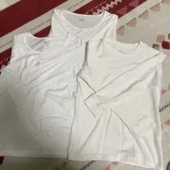 Item thumbnail for item 3b262a8d-4776-4444-84d1-22b3dfde0e13