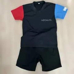 Item thumbnail for item e1edb205-ff05-4d6c-8f39-345ce6f5aff7