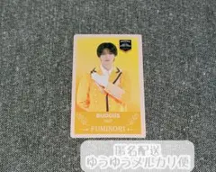 BUDDiiS FUMINORI 小川史記 エビライ カード トレカ