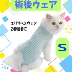 Item thumbnail for item b836daaa-f204-46e4-bc54-cbf76a706ea2