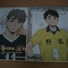 宮治　色紙　中学　ハイキュー！！