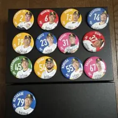 ソフトバンクホークス　缶バッジ