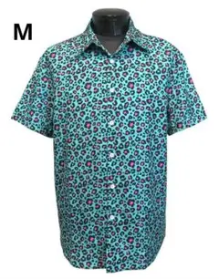 Item thumbnail for item a25f0a4d-7e8b-404e-bd50-4aa093653988