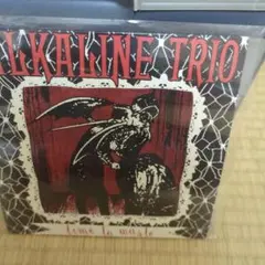 blink-182 ライブアルバム　レコード盤　レア blink-182 ライブアルバム レコード盤 レア