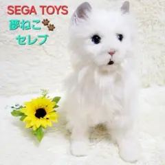 2025年最新】夢ねこセレブの人気アイテム - メルカリ