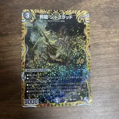 邪龍ジャブラッドシークレット　b
