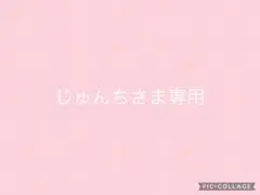 じゅんちさま専用