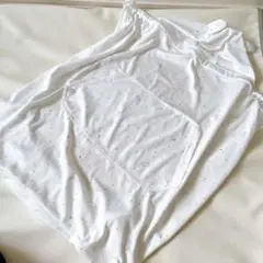 Item thumbnail for item e47f3894-523c-45e1-b471-ee8f0c595703