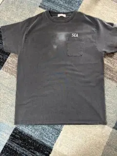PIGMENT POCKET TEE Tシャツ XL