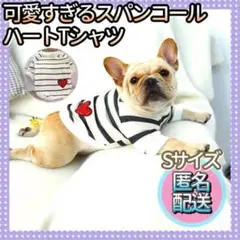 可愛すぎるボーダーTシャツS 犬服 犬の服 犬洋服 犬用品 ペット 犬Tシャツ