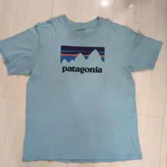 patagonia 水色 Tシャツ　Mサイズ 古着Tシャツ