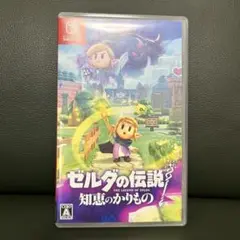 ゼルダの伝説 知恵のかりもの　Nintendo Switch