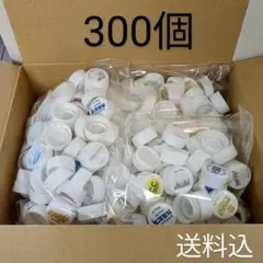 ペットボトルキャップ 300個　白系 ランダム いろいろ蓋 ふた ハンドメイド
