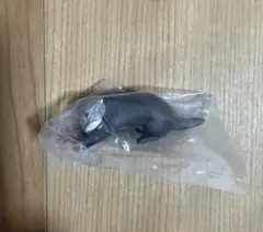 お納めください。　ラッコ
