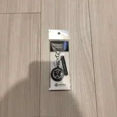 延世大学 YONSEI キーホルダー