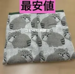 Item thumbnail for item cf31b055-a049-4b63-9afd-3d0581205d87