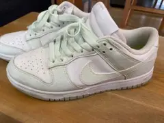 ナイキ ネクストネイチャー ミントグリーン