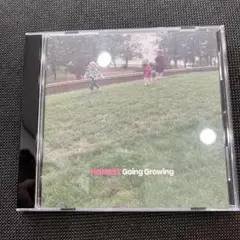 Going Growing honest CD