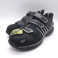 Item thumbnail for item 3827b52c-53cc-4ba1-b53b-f1976144f3c0