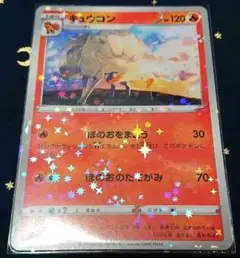 キュウコン sA 2019年 スリーブ付き