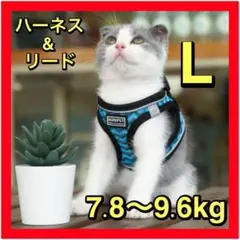 Item thumbnail for item 5b543921-6183-4ce5-8f28-4828123c2d81