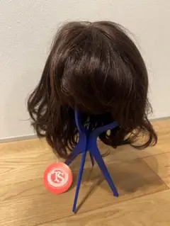 Item thumbnail for item 0ce4ccd5-acdc-4882-a0ab-837557a98a72