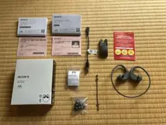 Item thumbnail for item 069f6cdf-c616-44ca-818e-8df515d7bbee