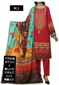 special SALEパンジャビドレス embroidered