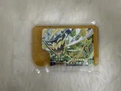 ポケモンフレンダ レガシーピッグオーガポン！